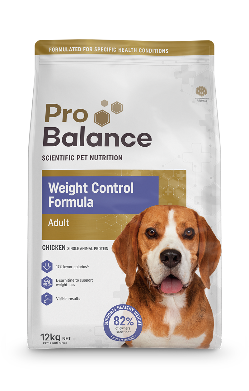 when is the best time to drink l carnitine Weight Control Formula