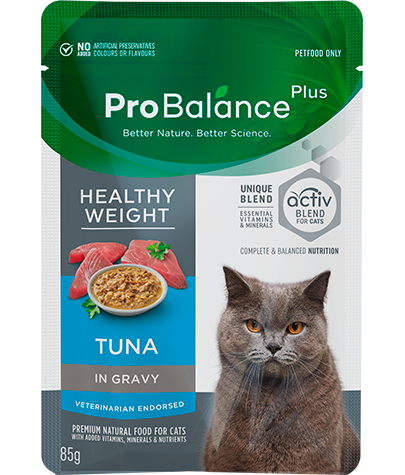 Care Range Wet Cat Food Healthy Weight Tuna in Gravy