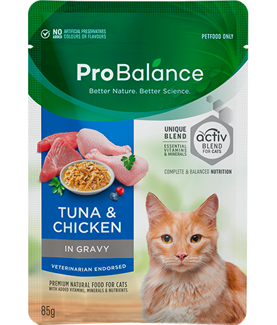 Premium Wet Cat Food Adult Tuna & Chicken in Gravy