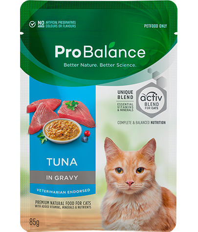 Premium Wet Cat Food Adult Tuna in Gravy