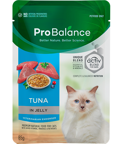Premium Wet Cat Food Adult Tuna in Jelly