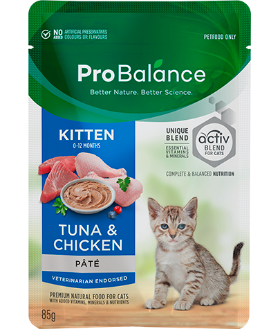 Premium Wet Cat Food Kitten Tuna & Chicken Pate