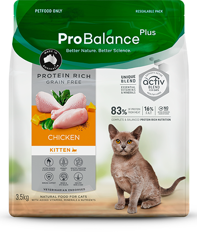 Protein Rich Dry Cat Food Kitten Chicken