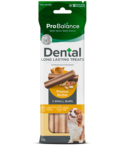 Dental Long Lasting Treats – Peanut Butter