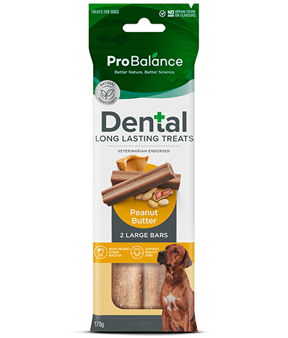 Dental Long Lasting Treats – Peanut Butter